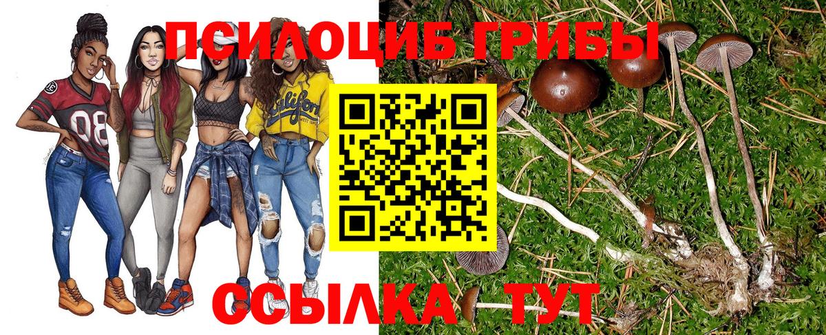 Галлюциногенные грибы мицелий  Вход с VPN  Галлюциногенные грибы мухоморы  Снежинск 