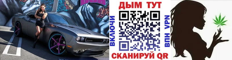 продажа наркотиков  Снежинск  Шишки марихуана SATIVA & INDICA 